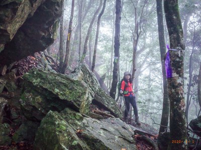 「谷關七雄登山趣」千人響應　加碼完登證書申請